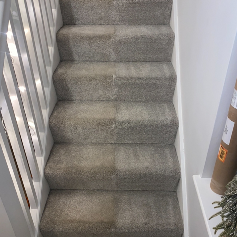 The Carpet Boss