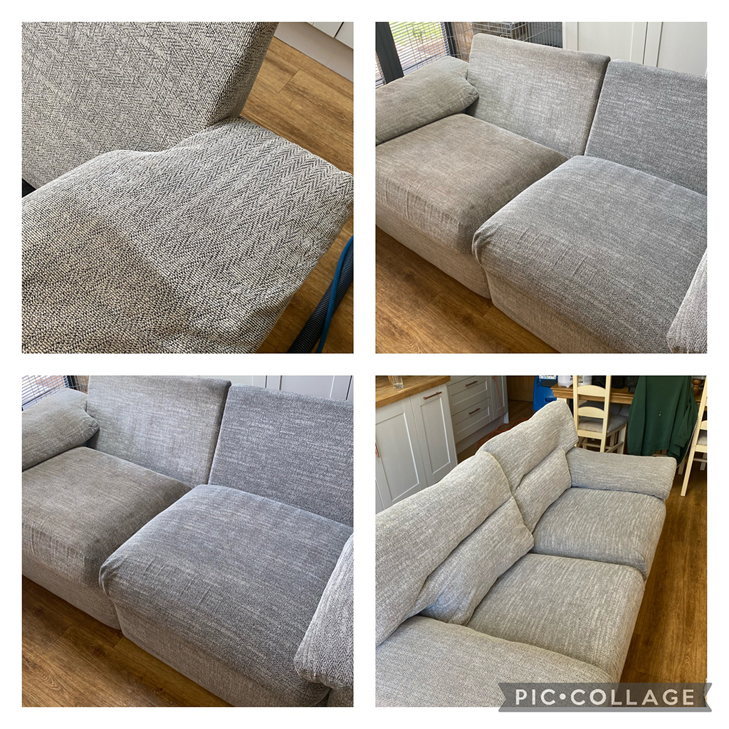 The Carpet Boss