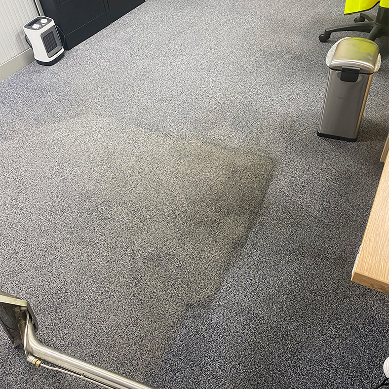 The Carpet Boss