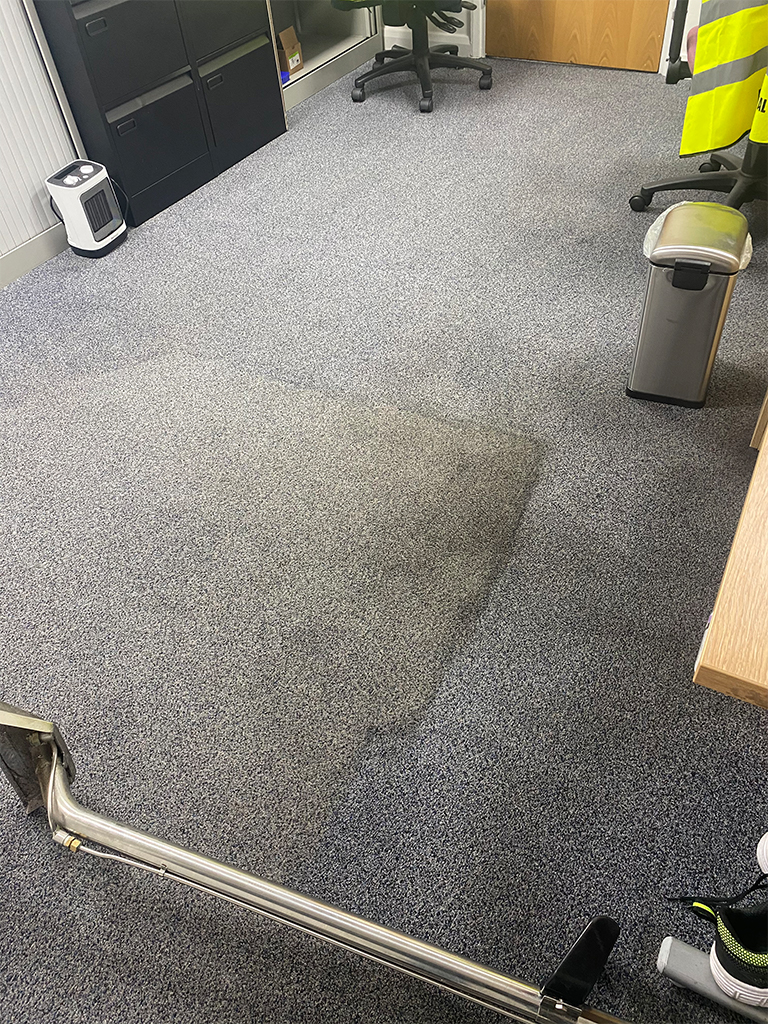 The Carpet Boss