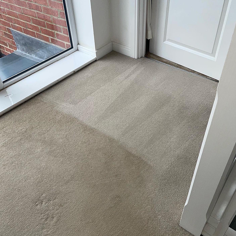 The Carpet Boss