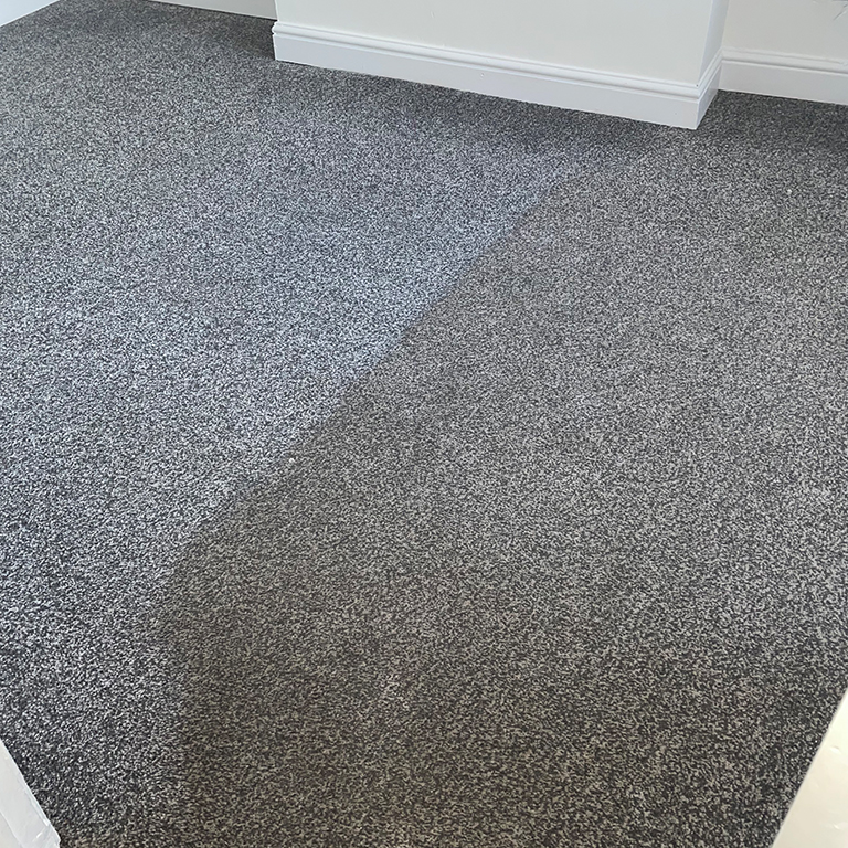 The Carpet Boss