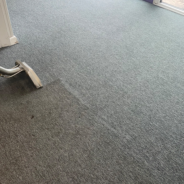 The Carpet Boss