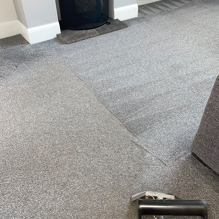 The Carpet Boss