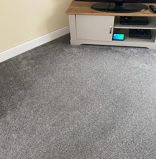 The Carpet Boss